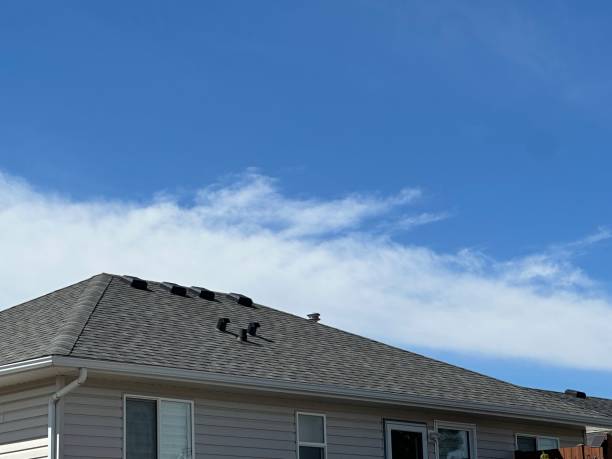 Best Cold Roofs  in Richardson, TX